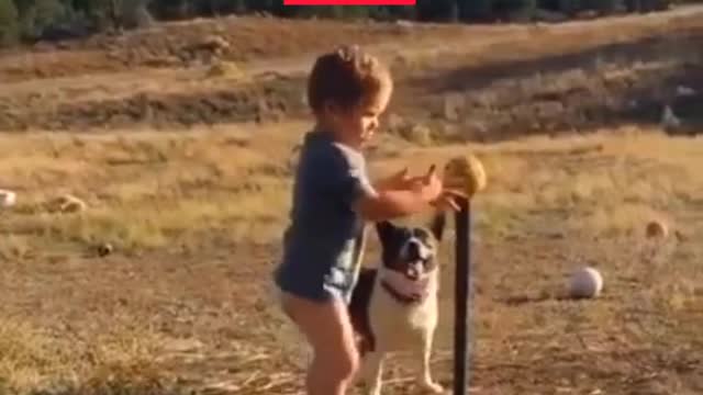 Funny dog jocking with a cute baby😘💖💖 Amazing video