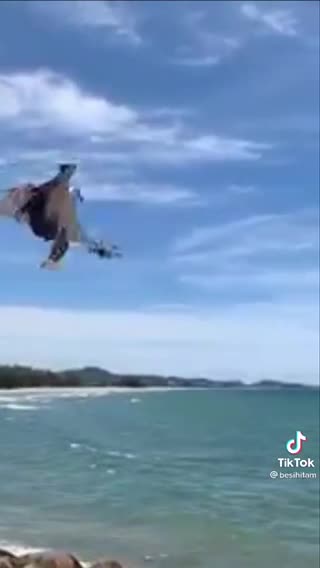 New drone has fallen preyed to the eagle