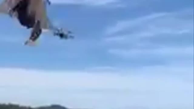 New drone has fallen preyed to the eagle