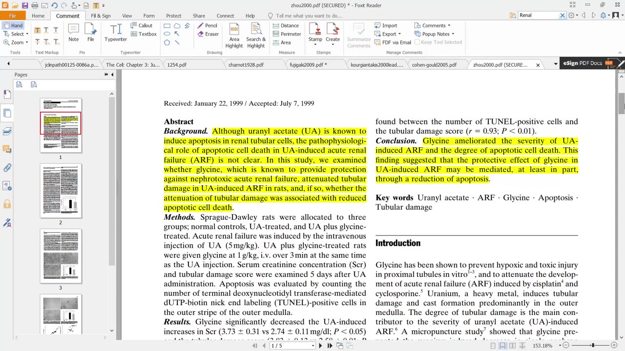 Virology 28: More problems with Virus Isolation -WeThe Electron Microscope Problem