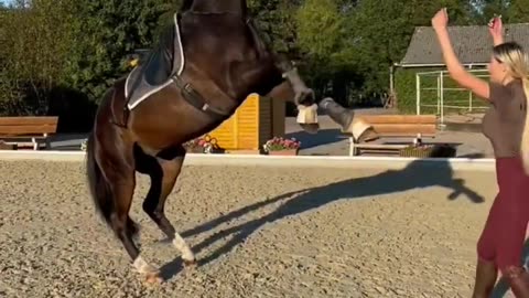 Horse 🐎 wow 😳