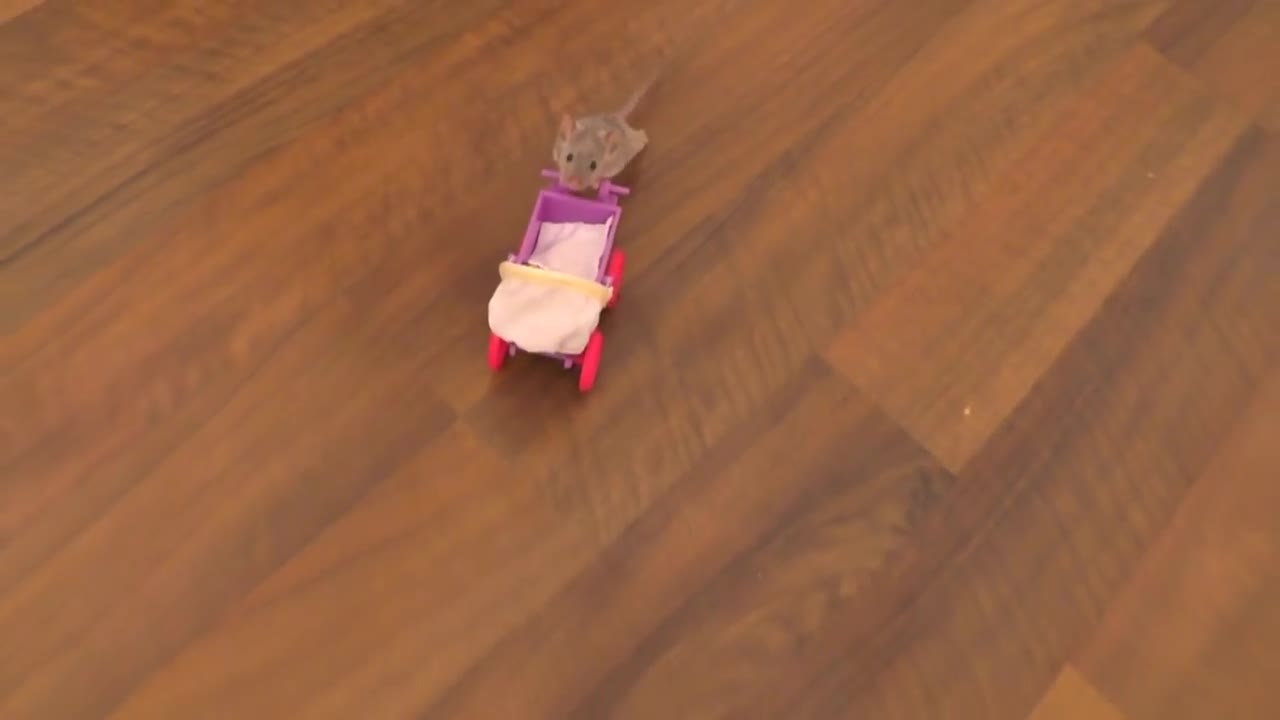 Mouse Mom Funny with Doll baby