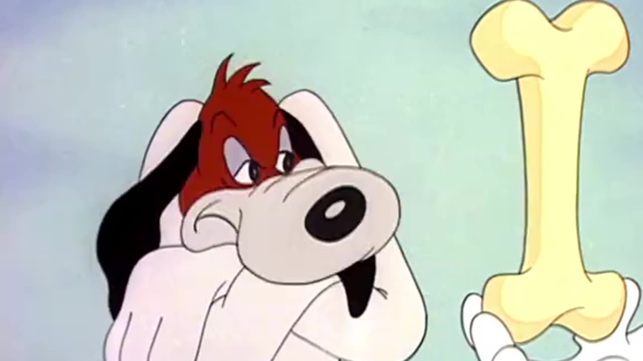 Droopy catches a Fox Old Cartoon were Something else