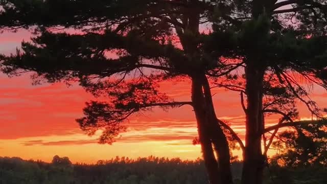 the sky goes red, my mind goes quiet