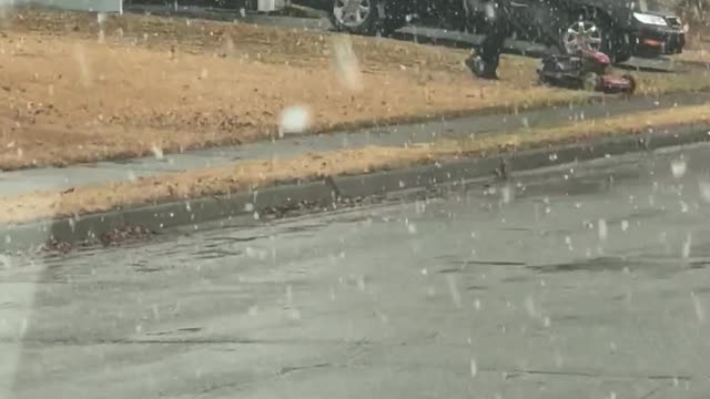 Guy Mows Grass in Snow Storm