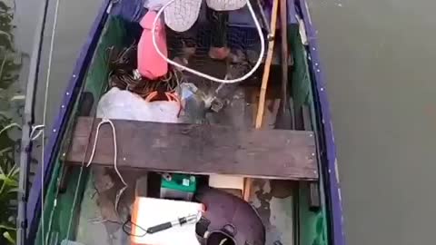 This is a beautiful and charming water-dwelling species