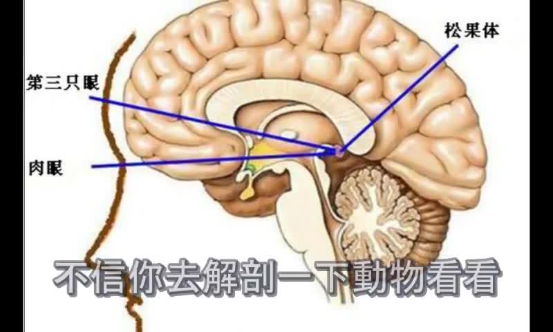 開天眼僧人「宇宙訊息和輪迴記憶 都儲存在大腦中」！P.2 第二集