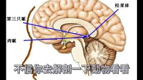 開天眼僧人「宇宙訊息和輪迴記憶 都儲存在大腦中」！P.2 第二集