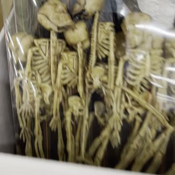 Perfect designs for Halloween