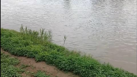 The flowing river flows down