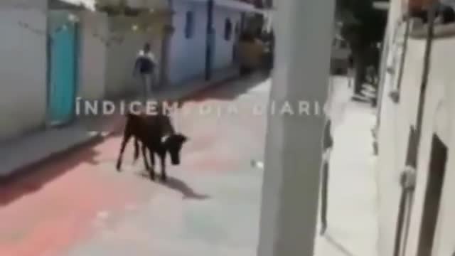 You will not imagine what happened