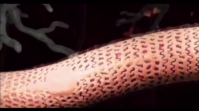 What Graphene Oxide might do to the body.