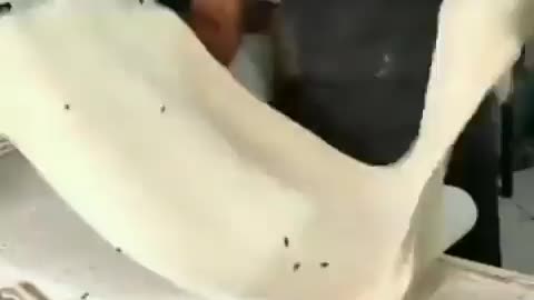 Third World Restaurant Conditions