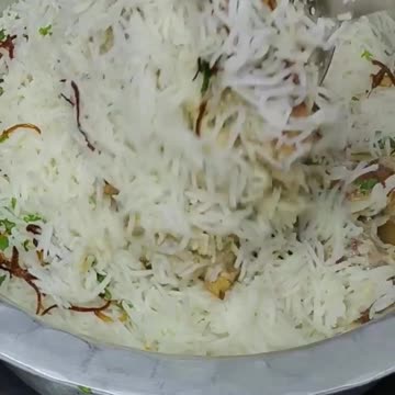 Chicken Malai Seekh Biryani