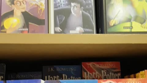 Harry potter Book store in porto