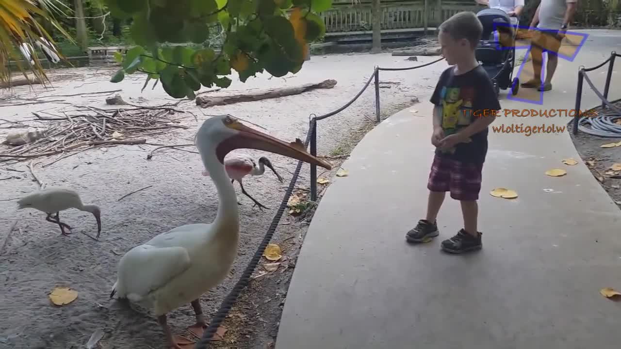 FORGET CATS! Funny KIDS vs ZOO ANIMALS are WAY FUNNIER! -TRY NOT TO LAUGH