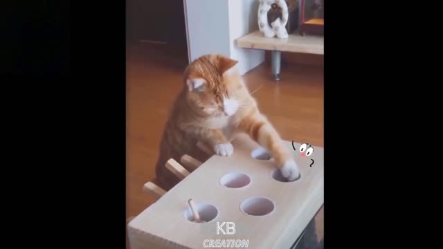 💗Cute And Funny Pets | Try Not To Laugh To These Pets Compilation #7💗 KB CREATION