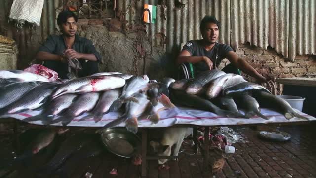 Vendors sitting behind a fish stand while cat is eating under the table