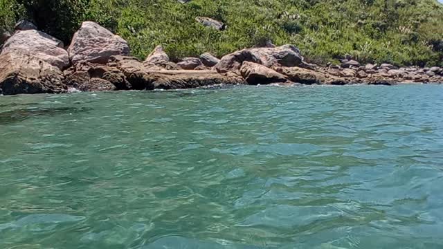 Riqueza do nosso litoral brasileiro!