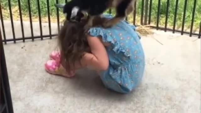 Baby vs animal plan games so cute 😘😘😘