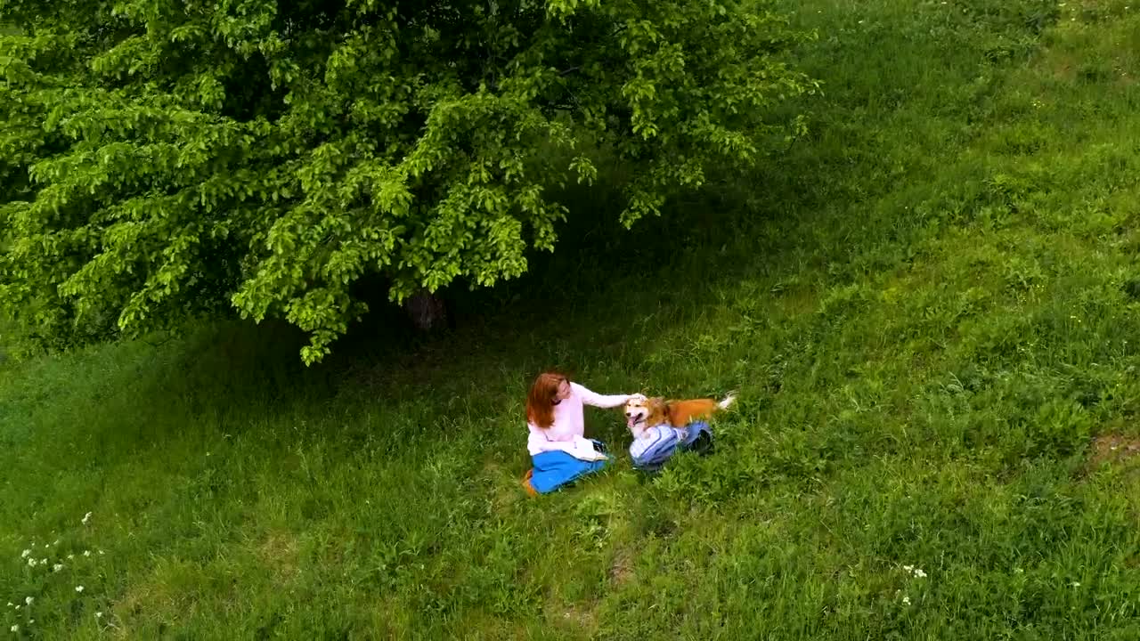 Woman with corgi dog in a green hill