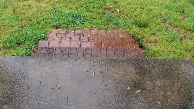 Peaceful rain on stairs