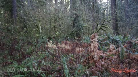 White Horse Mountain, Washington State