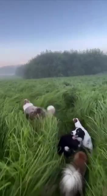 Wishing everyone this much happiness and adventure