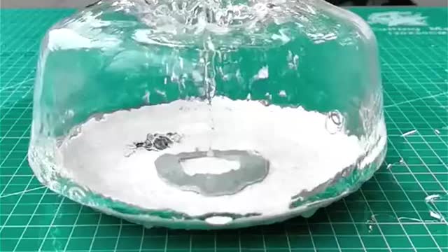 Cool Video - This is so awesome! Slow motion photography. So Amazing!