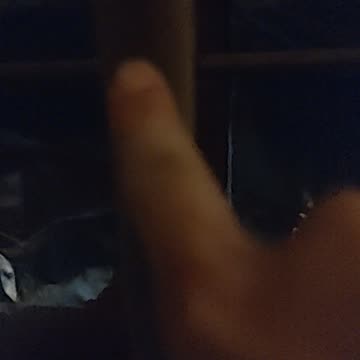 Us Army Gott starts his water pipe attack at 9:45am - April 21st 2024