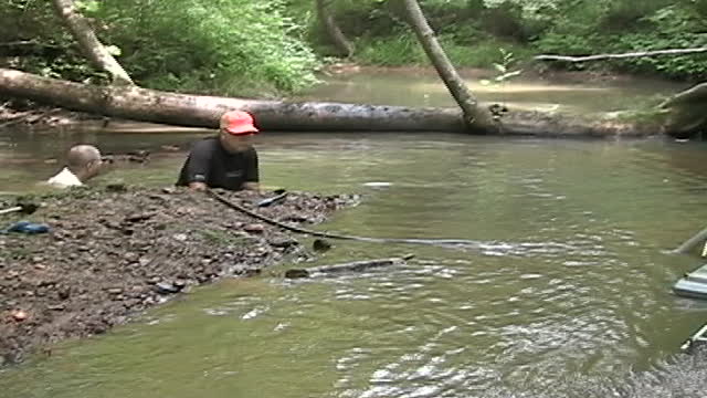 VA Gold On the Creek Tongue Quarter Creek June 2008 2