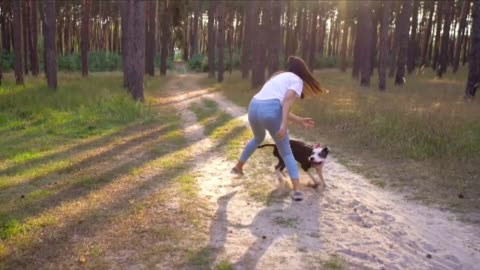 Beautiful dogs playing in the forest||beautiful Dog's videos