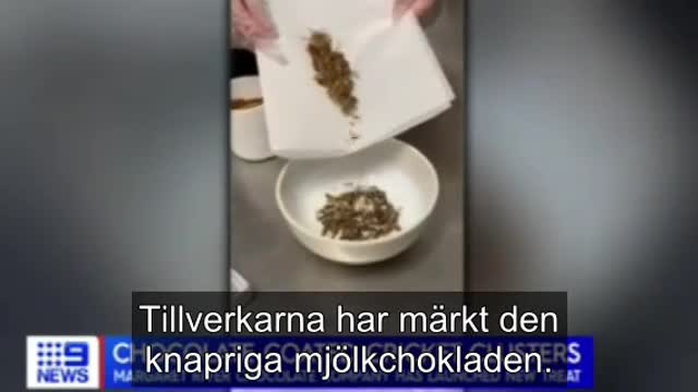 Chocolatecoated insects