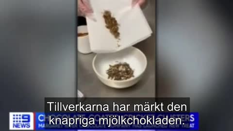 Chocolatecoated insects