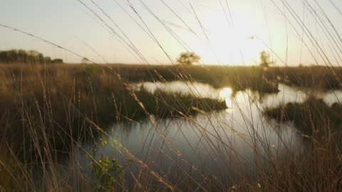 Lake surrounded by dry grass in the savanna