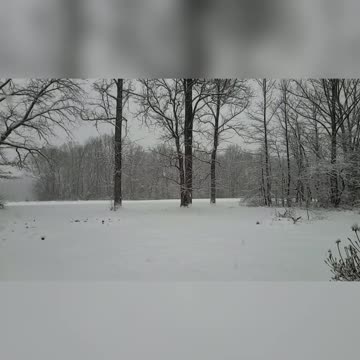 Winter Morning In The Country