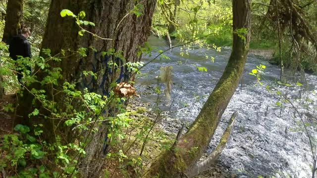 Beaver Falls Oregon