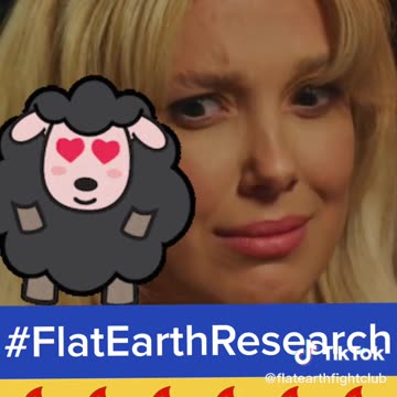 Stranger Things - Flat Earther