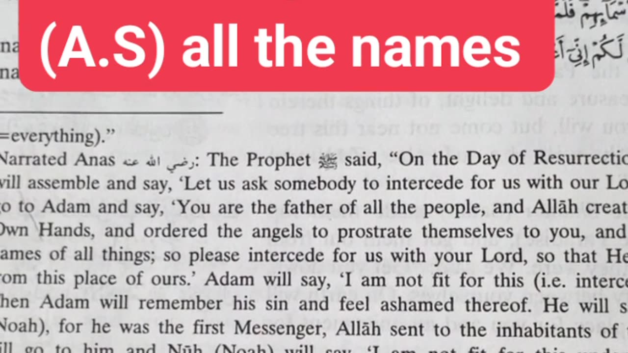 Allah taught Adam(A.S) all the names