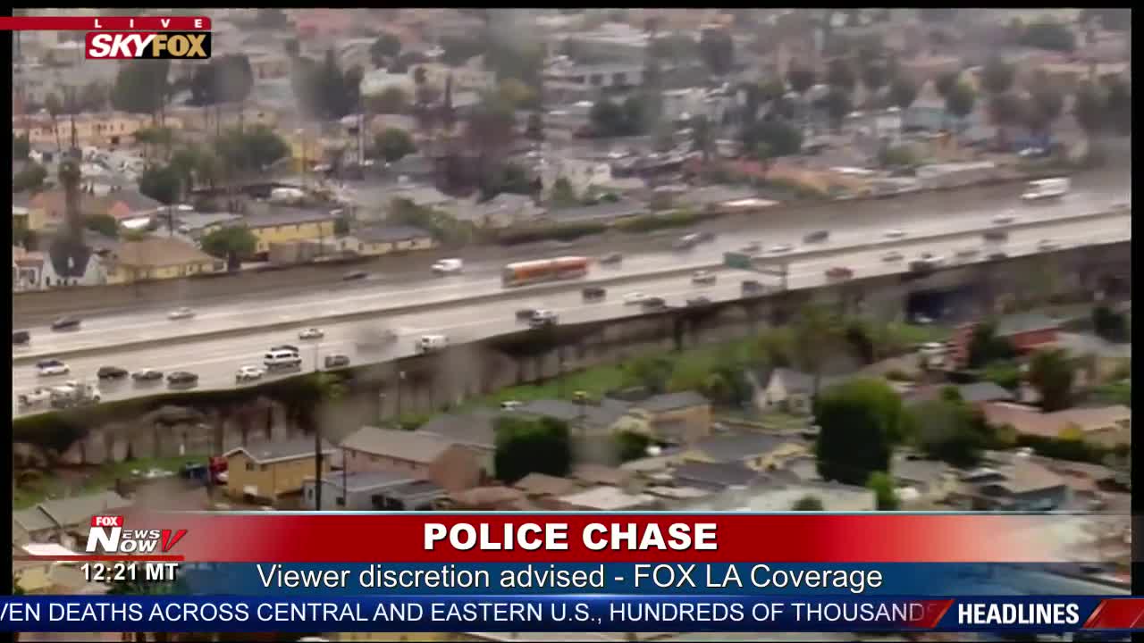 Wild Pursuit on The Wet Streets of Los Angeles