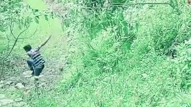 The Killing Cock!
