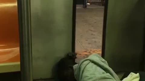 Man passed out on doors of subway