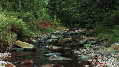 It's a great natural environment.