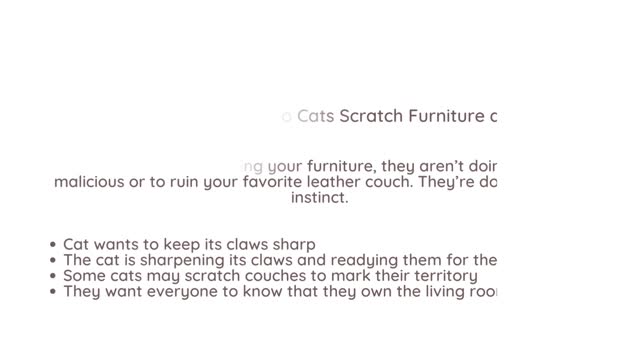 How to Stop Cats From Scratching Leather Furniture: The Ultimate Guide