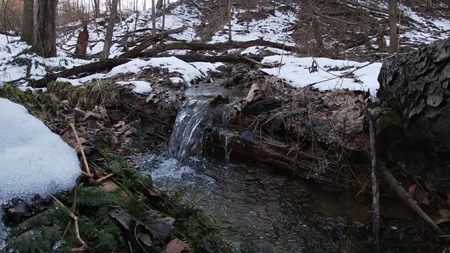 Snow Melt Clip