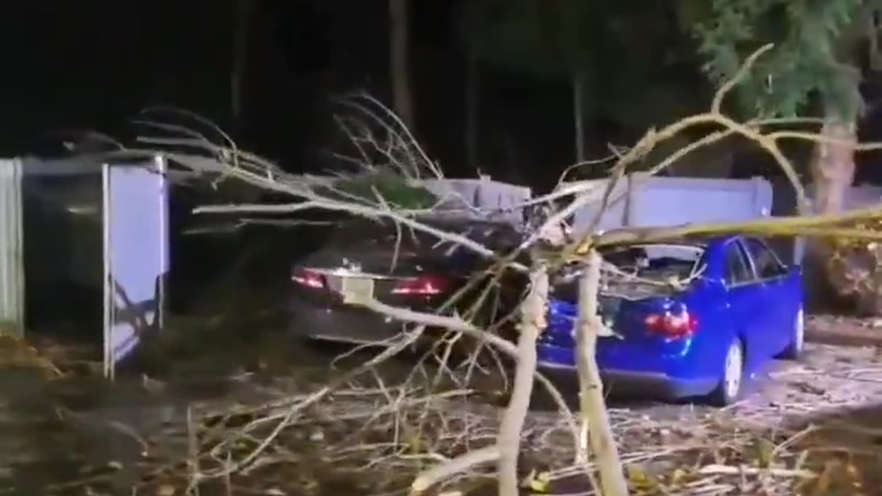Sever damaged after Bomb cyclone hits in Washington, US πΊπ² (20.11.2024)