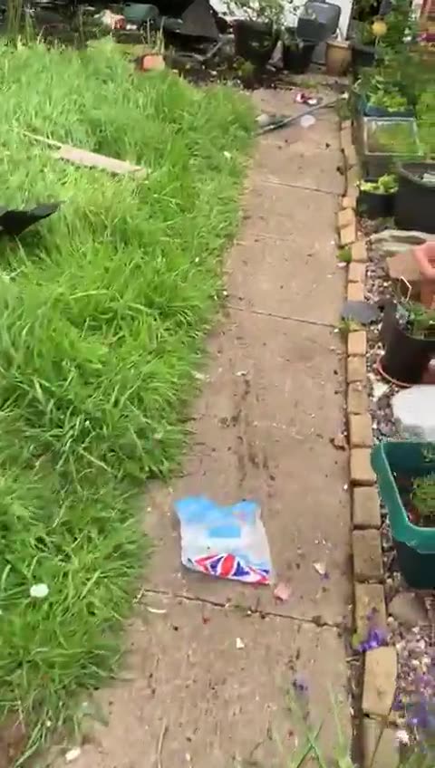 Hackney carriage taxi loses control and smashes in to house