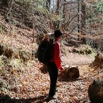 Autumn Hiking with cat