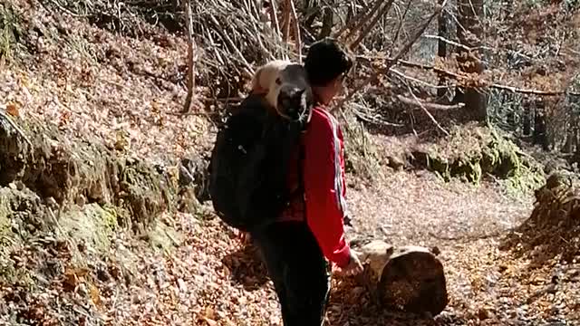 Autumn Hiking with cat