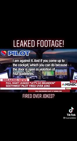 Pilot fired over jokes?